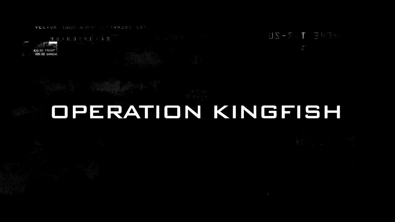 Affiche du film : Kingfish