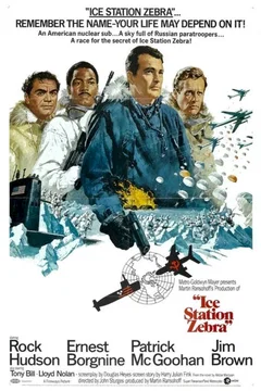 Affiche du film Destination Zebra station polaire