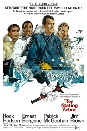 Affiche du film : Destination Zebra station polaire