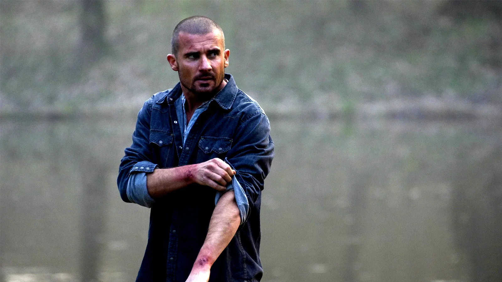Photo 2 du film : Town Creek