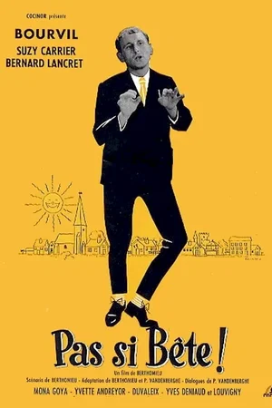 Affiche du film : Pas si bete