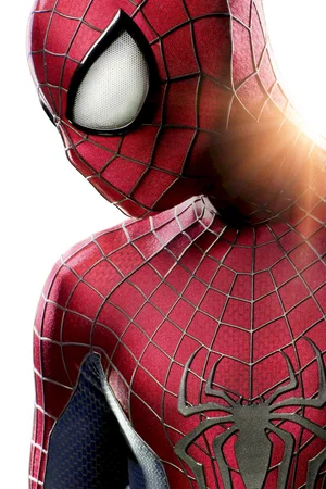Affiche du film : Le heros