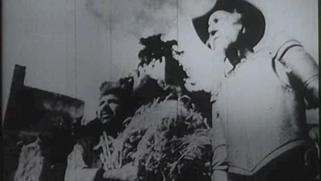 Photo 2 du film : Don quichotte