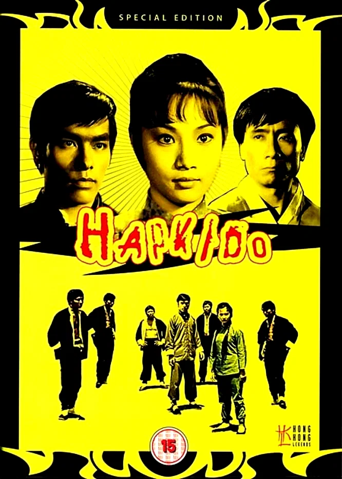 Affiche du film : Dragon kung fu contre boxers chinois