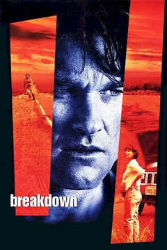 Affiche du film La panne
