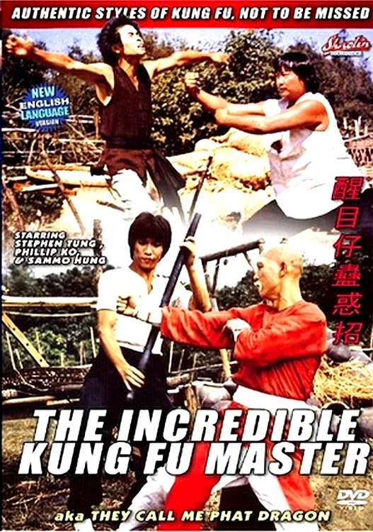 Affiche du film : L'incroyable maitre du kung fu
