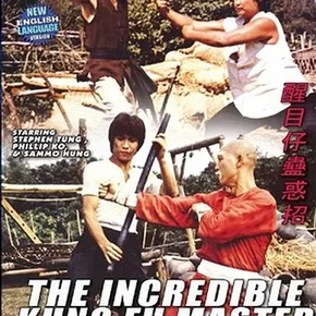 Photo du film : L'incroyable maitre du kung fu