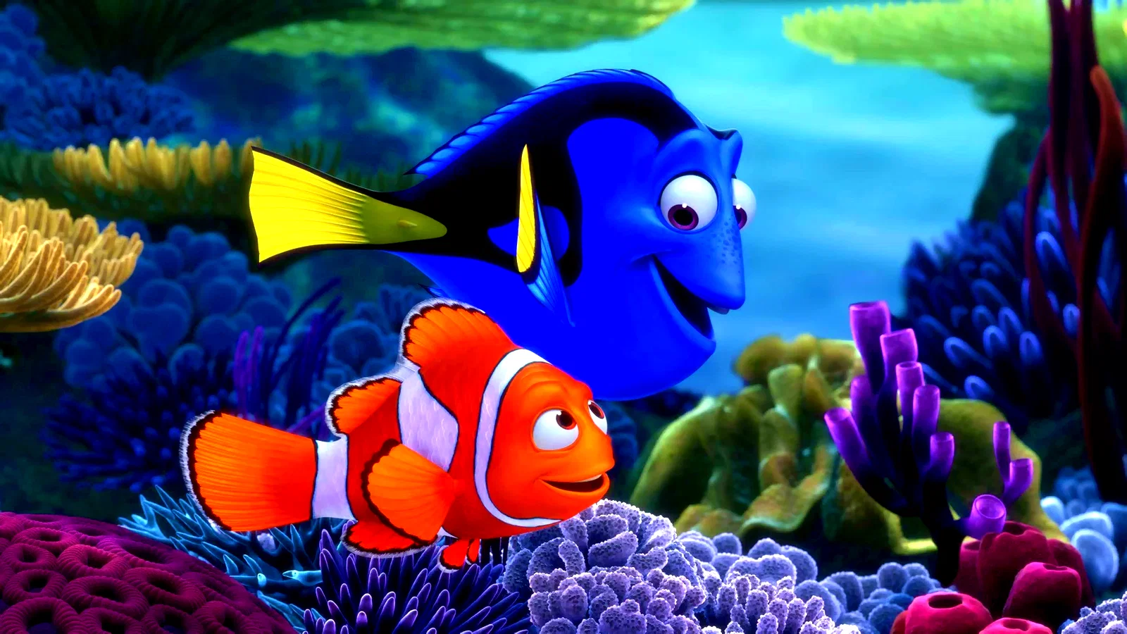 Photo 3 du film : Nemo