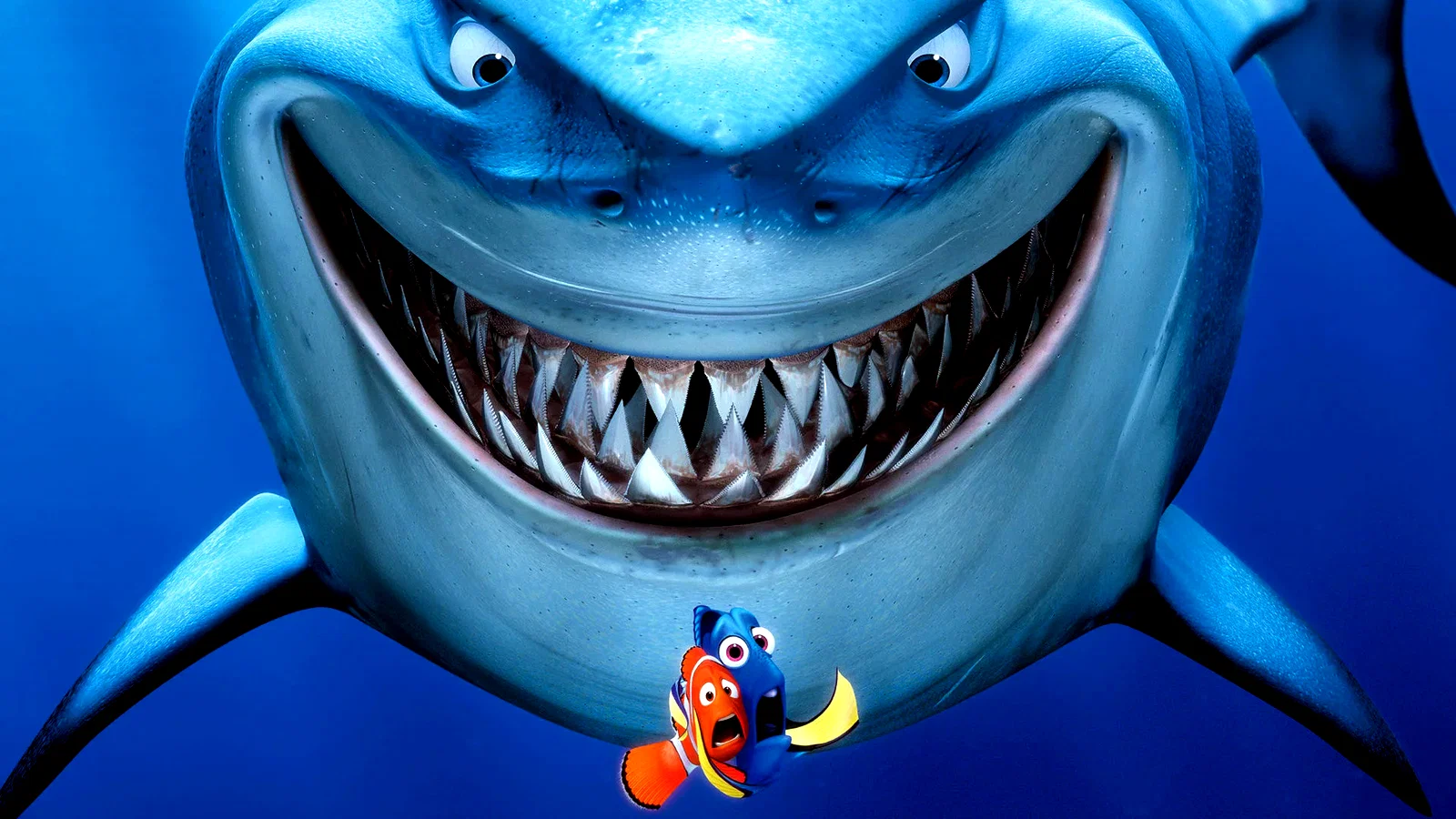 Photo 11 du film : Nemo