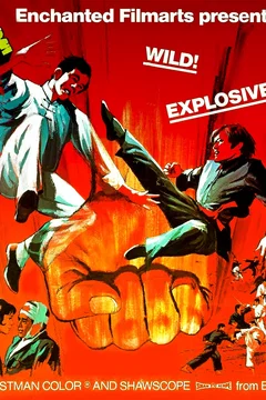 Affiche du film La Vengeance du Tigre