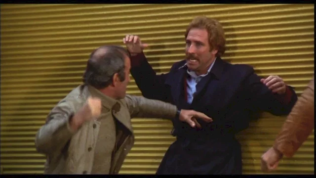 Photo du film : Magnum cop