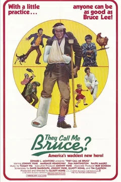 Affiche du film Appelez moi bruce