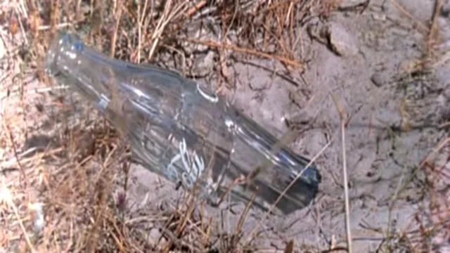 Photo 2 du film : Les dieux sont tombés sur la tête