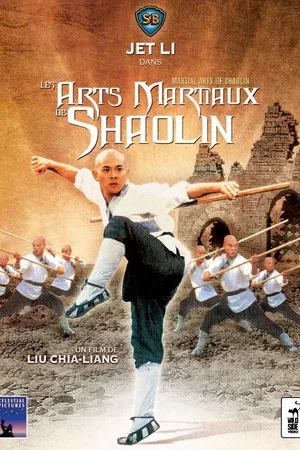 Photo du film : Les arts martiaux de shaolin