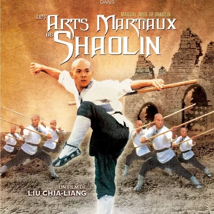Miniature photo du film : Les arts martiaux de shaolin