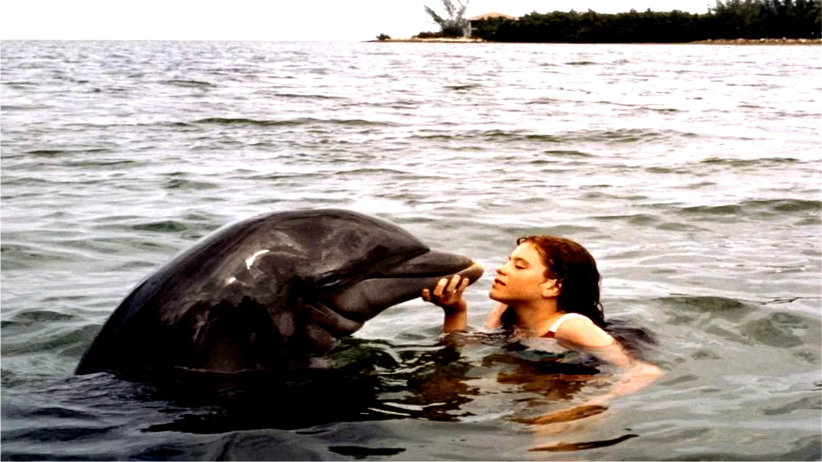 Photo 2 du film : La baleine