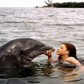 Photo du film : La baleine