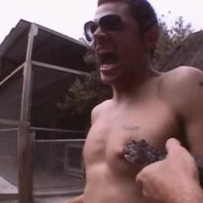 Photo du film : Jackass, le film
