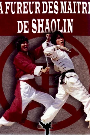 Affiche du film : La fureur des maitres de shaolin