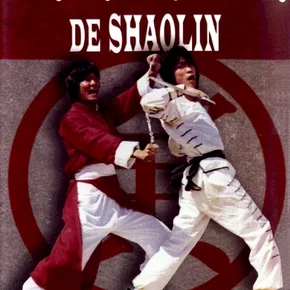 Photo du film : La fureur des maitres de shaolin