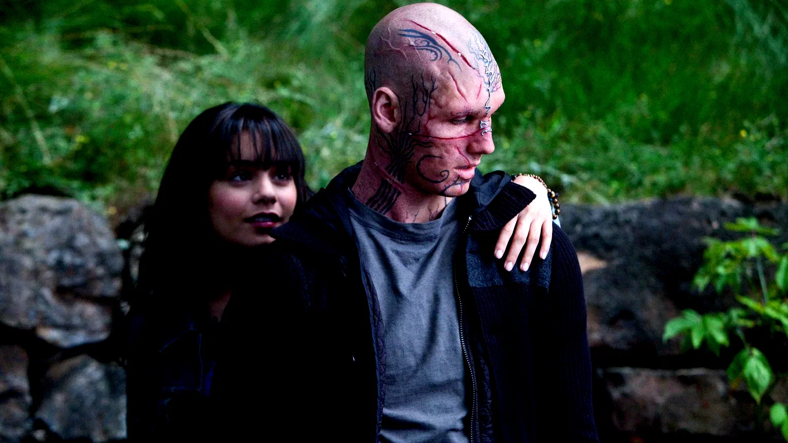 Photo 7 du film : Bestia