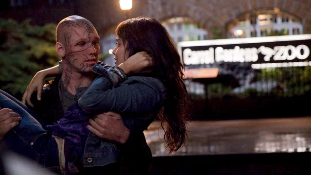 Photo 10 du film : Bestia