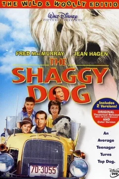 Affiche du film Quelle vie de chien
