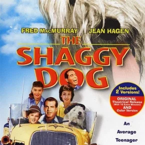 Photo du film : Quelle vie de chien