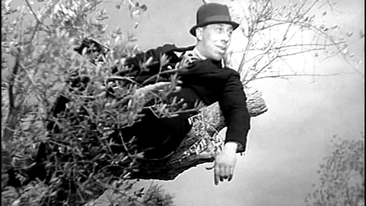 Photo du film : L'ange de la nuit