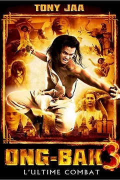 Affiche du film L'ultime combat