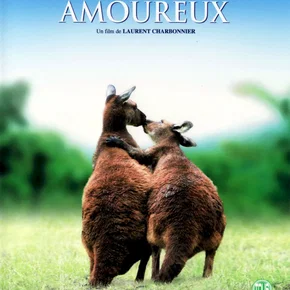 Photo du film : Les animaux