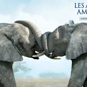 Photo du film : Les animaux