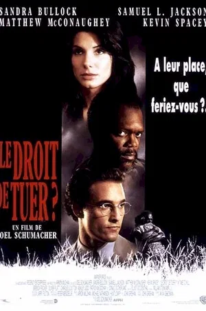 Affiche du film : Le Coupable