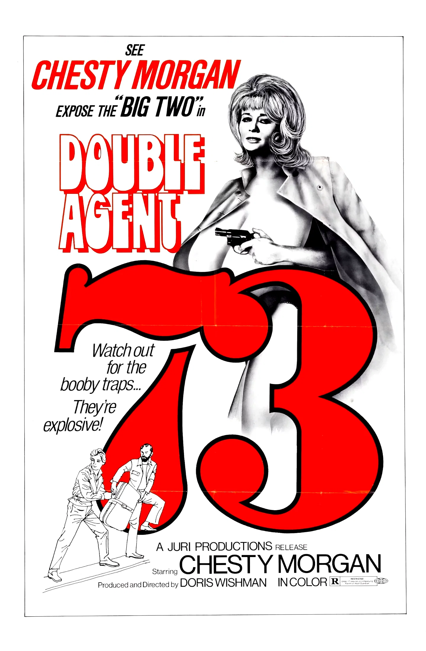 Affiche du film : Agent double