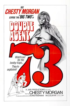 Affiche du film Agent double