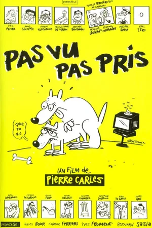 Affiche du film : Pas vu pas pris