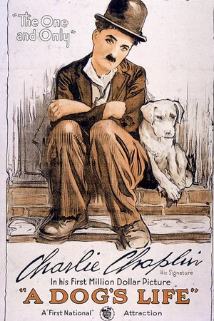 Affiche du film : Une vie de chien