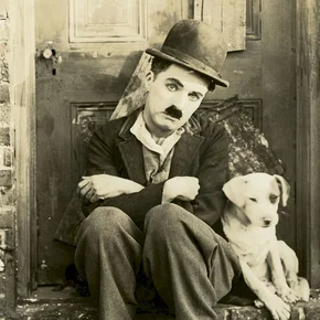 Photo du film : Une vie de chien
