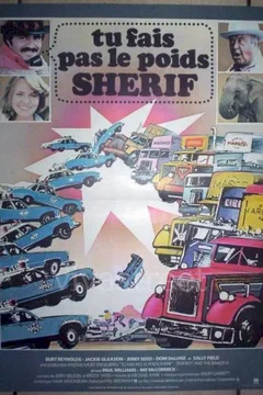 Affiche du film Le bandit