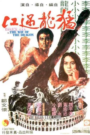 Affiche du film : La fureur du dragon