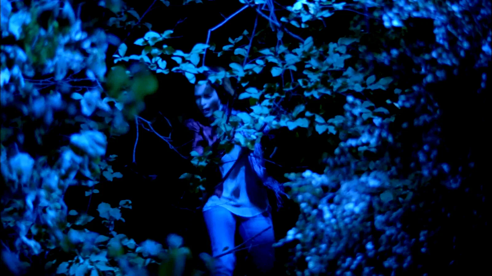Photo 2 du film : Silent witness