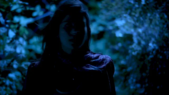 Photo 3 du film : Silent witness