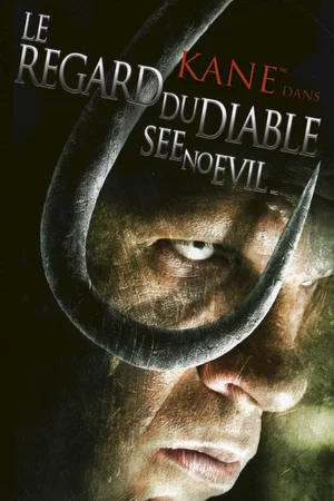 Affiche du film : Le regard