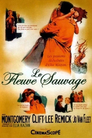 Affiche du film : Le sauvage
