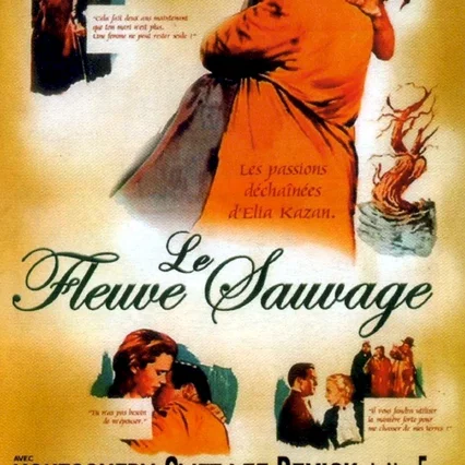 Miniature photo du film : Le sauvage
