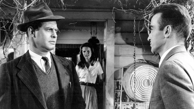 Photo du film : Le sauvage