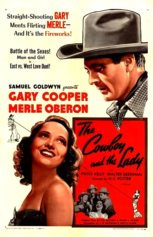 Affiche du film : Cow boy