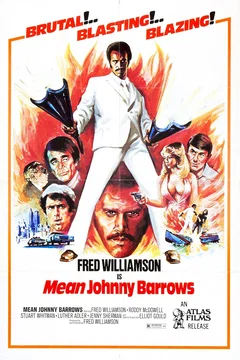 Affiche du film Johnny barrows