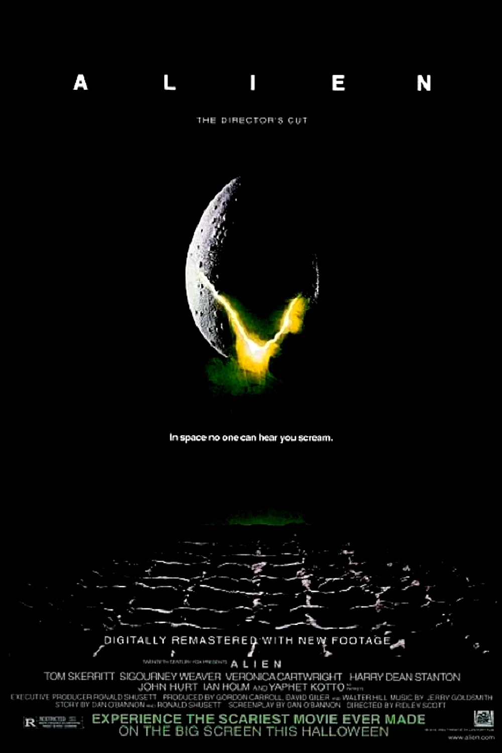Affiche du film : Le passager