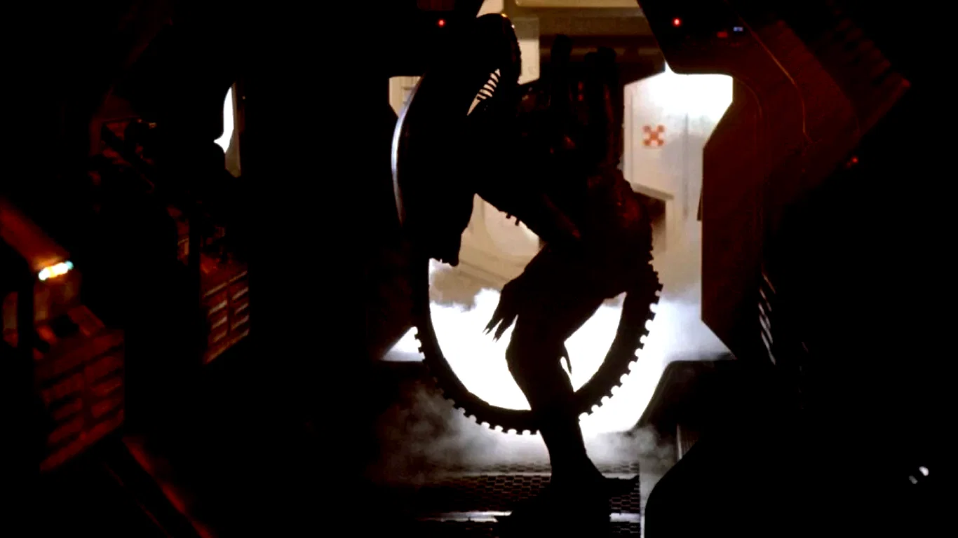 Photo 10 du film : Le passager